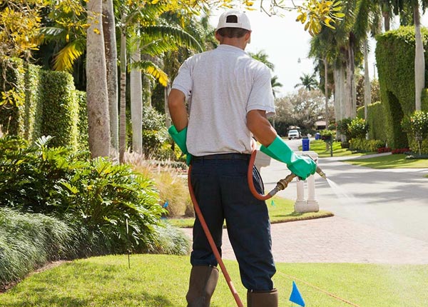 About Ratcliff AR Pest Control Pros